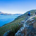 Half Day Guided Walking Tour on Banks Peninsula - The Experience in Detail