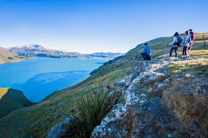 Half Day Guided Walking Tour on Banks Peninsula - The Experience in Detail