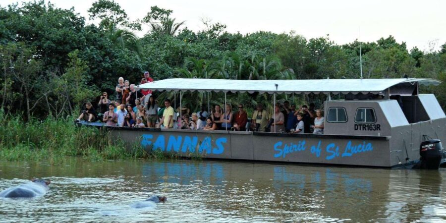Half Day Hippo Boat Safari Isimangaliso Wetlands from Durban - Summary: The Value and Experience