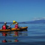 Half-Day Kayak to the Maori Rock Carvings in Lake Taupo - Who Should Consider This Tour?