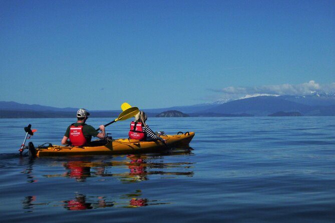 Half-Day Kayak to the Maori Rock Carvings in Lake Taupo - Who Should Consider This Tour?