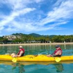 Half Day Kayak Turtle Tour - Practical Details & Tips
