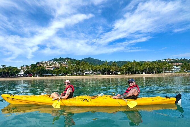 Half Day Kayak Turtle Tour - Practical Details & Tips
