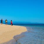 Half Day Low Isles Snorkelling Tour from Port Douglas - What to Expect from Your Low Isles Snorkelling Adventure