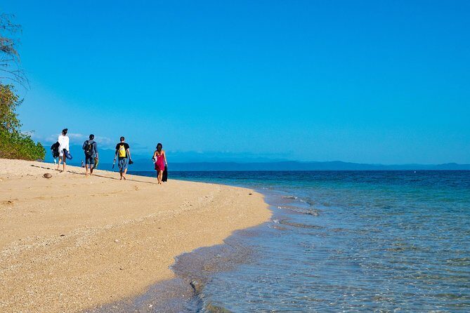 Half Day Low Isles Snorkelling Tour from Port Douglas - What to Expect from Your Low Isles Snorkelling Adventure
