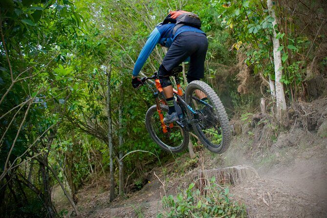 Half Day Nelson Electric Mountain Bike Rental Adventure - Why Electric Bikes Are a Game-Changer