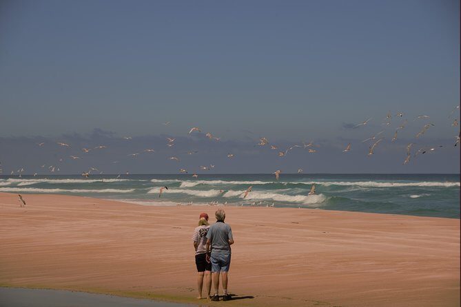 Half-Day Pemberton National Parks Beach and Forest Eco Adventure - What Makes This Tour Stand Out?