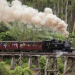 Half-Day Puffing Billy Steam Train Experience w optional Penguins - Why This Tour Offers Great Value
