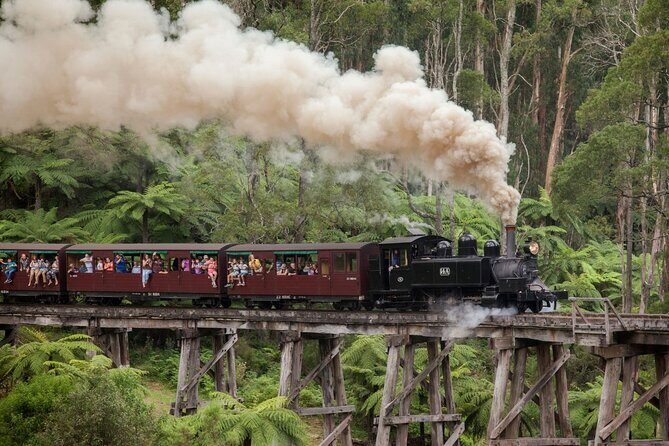 Half-Day Puffing Billy Steam Train Experience w optional Penguins - Why This Tour Offers Great Value