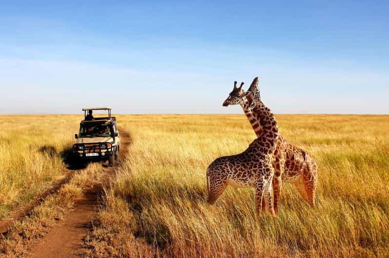 Half Day Safari from Durban - What To Expect from the Half Day Safari