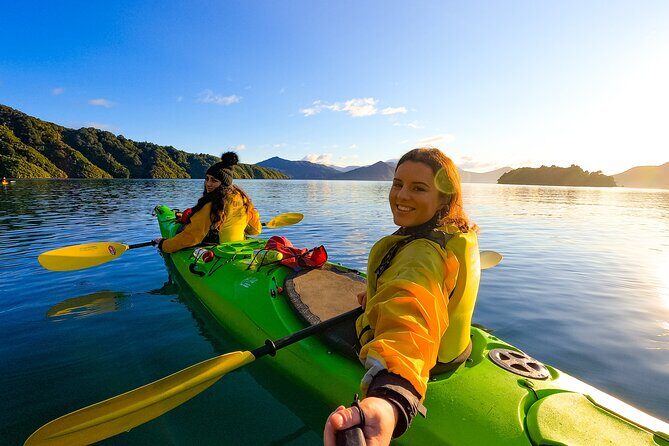 Half day Sea Kayak Guided Tour from Picton - Who Will Love This Tour?