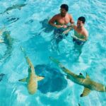 Half Day Snorkeling in Moorea - The Itinerary in Detail