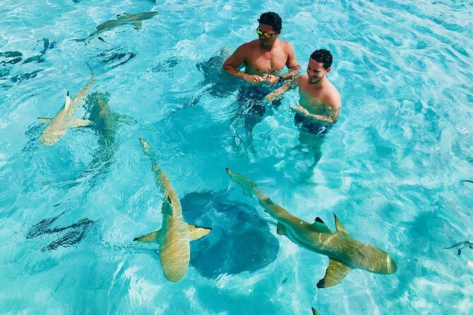 Half Day Snorkeling in Moorea - The Itinerary in Detail