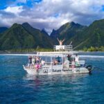 Half day Tahiti Peninsula and Teahupoo boat tour (shared boat) - Teahupoo: The Wave That Draws the World’s Surfers