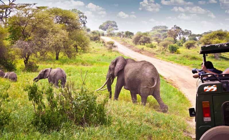 Half Day Tala Game Reserve & Natal Lion Park from Durban - Practical Details and Value