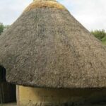 Half-Day Tala Game Reserve & Phezulu Safari Park from Durban - Exploring the Itinerary in Detail
