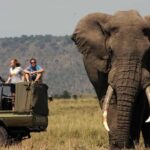 Half Day Tour Hluhluwe Imfolozi Game Reserve fr Richards Bay - Why Choose This Tour?