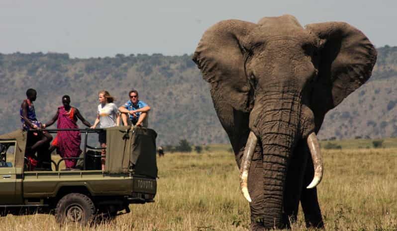 Half Day Tour Hluhluwe Imfolozi Game Reserve fr Richards Bay - Why Choose This Tour?