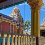 Half Day Tour in Nadi - Who Is This Tour Best For?