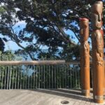 Half-Day Volcano Tour from Auckland - What to Expect from the Itinerary