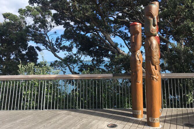 Half-Day Volcano Tour from Auckland - What to Expect from the Itinerary