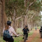 Half Day Wadandi Track Scenic E-Bike Tour - Practical Details and What to Bring