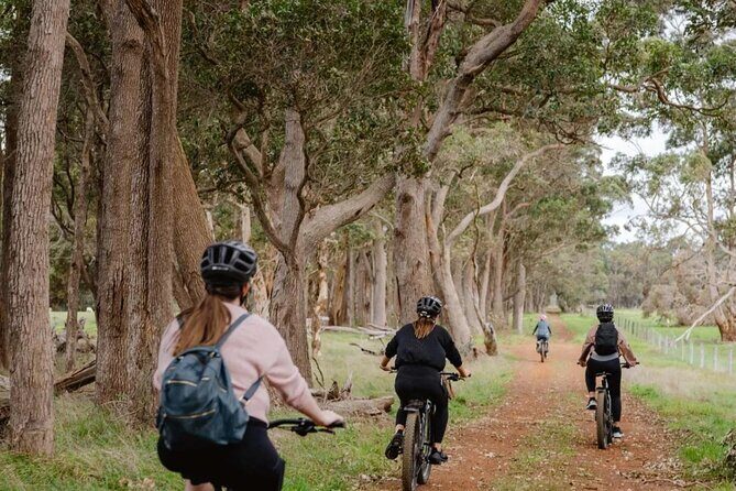 Half Day Wadandi Track Scenic E-Bike Tour - Practical Details and What to Bring