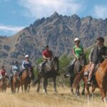 Half Day Walter Peak Horse Trek and Cruise from Queenstown - What Travelers Are Saying