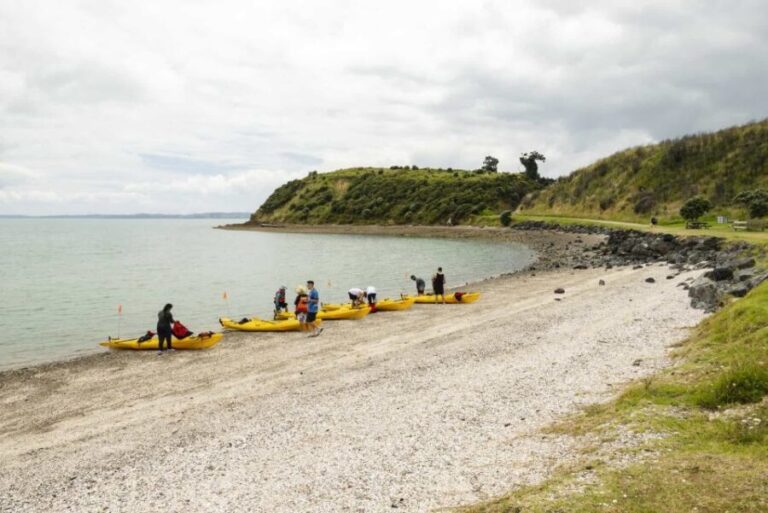 Hallertau Clevedon Kayak Tour - Practical Details and Tips