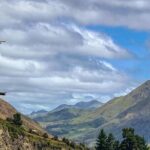 Hanmer Springs Private Day Tour - Practical Details and What You Can Expect