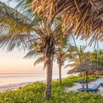 Happy new year: 2-Day Zanzibar New Year's Eve Getaway - The Itinerary Breakdown and Why It Matters