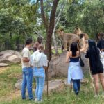 Harare: Half Day Outdoor Adventure - Why Youll Love This Tour