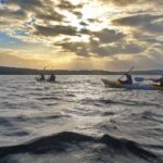 Harbour Bridge Breakfast Paddle - What to Expect: Practical Details