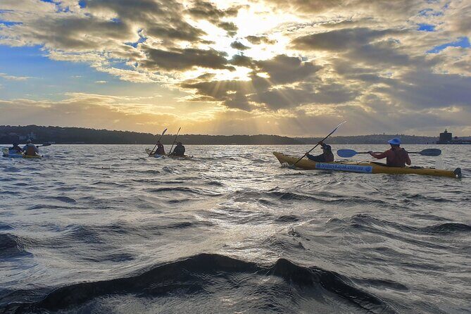 Harbour Bridge Breakfast Paddle - What to Expect: Practical Details