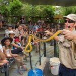 Hartley's Crocodile Adventures Day Trip from Palm Cove - Authentic Insights from Reviewers