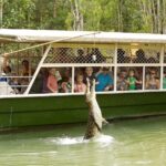 Hartleys Crocodile Adventures Half-Day Tour from Cairns - What to Expect: A Step-by-Step Breakdown of the Day