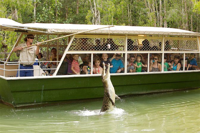 Hartleys Crocodile Adventures Half-Day Tour from Cairns - What to Expect: A Step-by-Step Breakdown of the Day