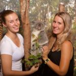 Hartley's Crocodile Adventures: Hartley's Koala Breakfast - Considering the Drawbacks