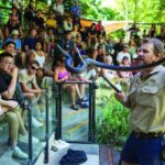 Hartley's Crocodile Adventures Park Entry - Why This Experience Is Worth Considering