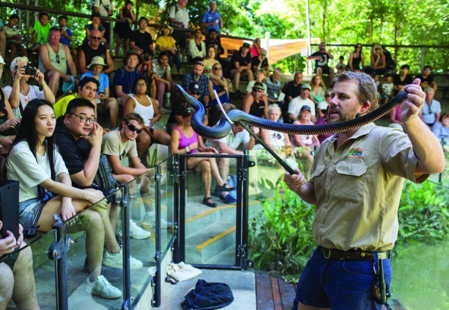 Hartley's Crocodile Adventures Park Entry - Why This Experience Is Worth Considering