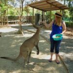 Hartley's Crocodile Adventures: Zootastic 5 + Entry Ticket - An In-Depth Look at the Hartleys Crocodile Adventures Experience