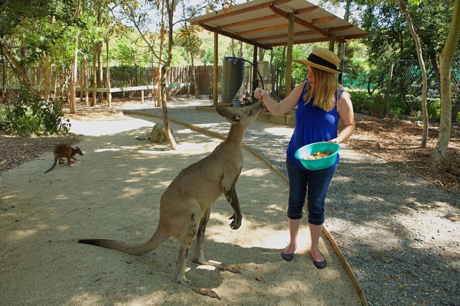Hartley's Crocodile Adventures: Zootastic 5 + Entry Ticket - An In-Depth Look at the Hartleys Crocodile Adventures Experience