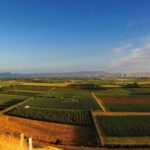 Hastings: Bridge Pa/Gimblett Winery Tour on a Regular Bike - Final Thoughts