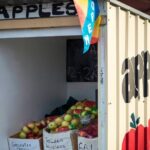 Hastings Caves, Tahune Airwalk and the Huon Tasting Trail - Hastings Caves: Underground Marvels