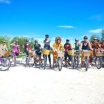 Hawkes Bay Wineries Self-Guided Bike Tour - The Real Experience from Reviews