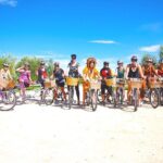 Hawkes Bay Wineries Self-Guided Electric Bike Tour - Value and Practicality