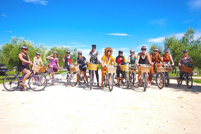Hawkes Bay Wineries Self-Guided Electric Bike Tour - Value and Practicality