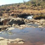Hazyview: Blyde River Boat & Reptile Park Tour - Who Will Love This Tour?