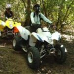 Hazyview: Guided Macadamia Plantation and Forest Quad Safari - The Experience in Detail