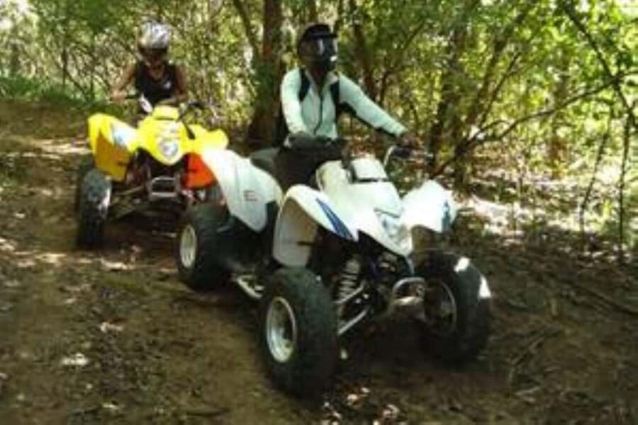 Hazyview: Guided Macadamia Plantation and Forest Quad Safari - The Experience in Detail